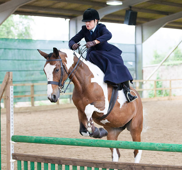 Bedgebury Equestrian centre is now one of the premiere horse riding centres in Southeast England.